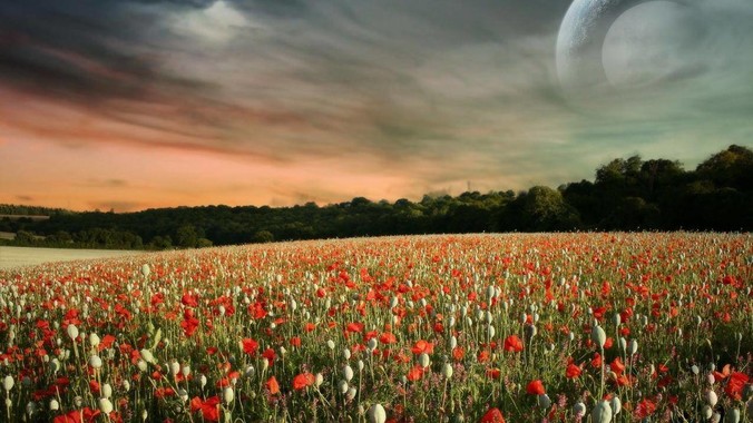 到底是时代选择了Nvidia,还是Nvidia选择了时代？